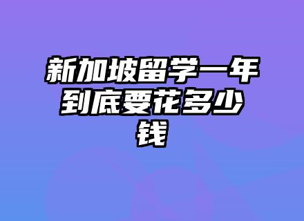 新加坡留学一年到底要花多少钱