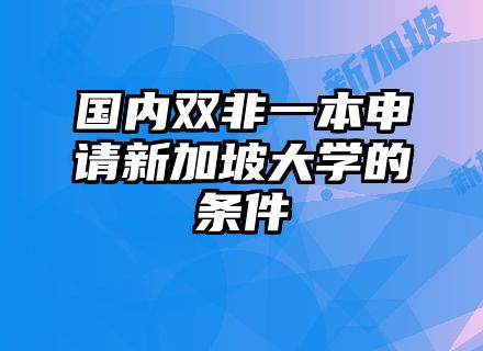 国内双非一本申请新加坡大学的条件