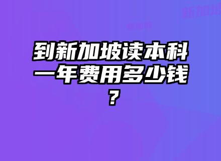 到新加坡读本科一年费用多少钱？