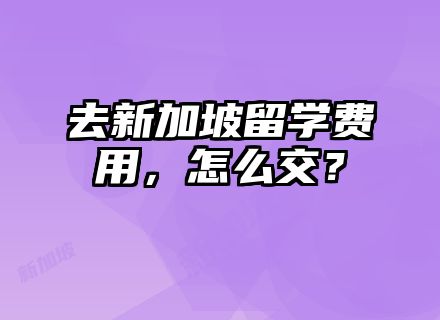 去新加坡留学费用，怎么交？