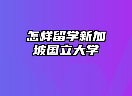 怎样留学新加坡国立大学