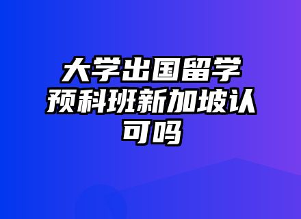 大学出国留学预科班新加坡认可吗