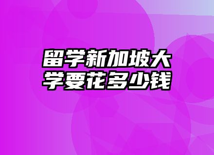 留学新加坡大学要花多少钱