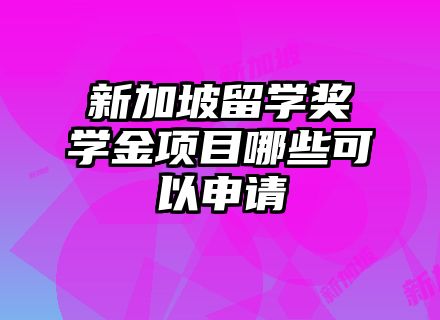 新加坡留学奖学金项目哪些可以申请