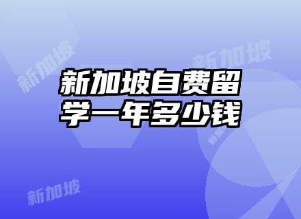 新加坡自费留学一年多少钱