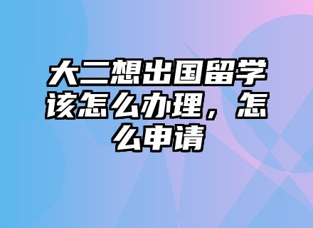大二想出国留学该怎么办理，怎么申请