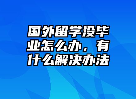 国外留学没毕业怎么办，有什么解决办法