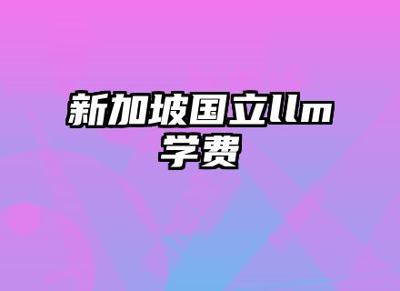 新加坡国立llm学费