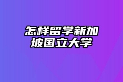 怎样留学新加坡国立大学