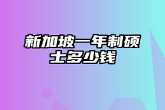 新加坡一年制硕士多少钱