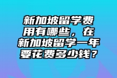 新加坡留学费用有哪些，在新加坡留学一年要花费多少钱？