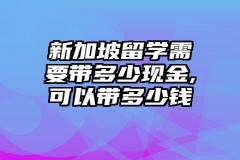 新加坡留学需要带多少现金,可以带多少钱