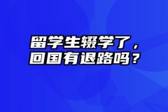 留学生辍学了，回国有退路吗？