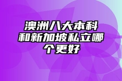 澳洲八大本科和新加坡私立哪个更好