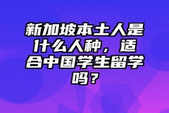 新加坡本土人是什么人种，中国学生留学适应吗？