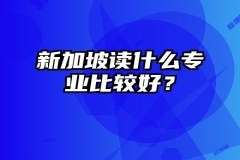 新加坡读什么专业比较好？