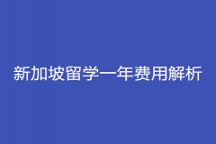 新加坡留学一年费用的实际情况和细节解析