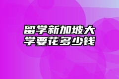 留学新加坡大学要花多少钱