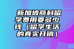 ​新加坡商科留学费用要多少钱（留学生活的真实开销）